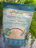 Vegiday All in one protein 475g