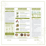 Naturtint Hair Colour - 8G Sandy Golden Blonde