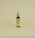 Bach Flower Remedies Chestnut - 20ml