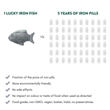 Lucky Iron Fish Cast Iron Cooking Tool