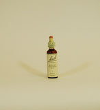 Bach Flower Remedies Mustard - 20ml